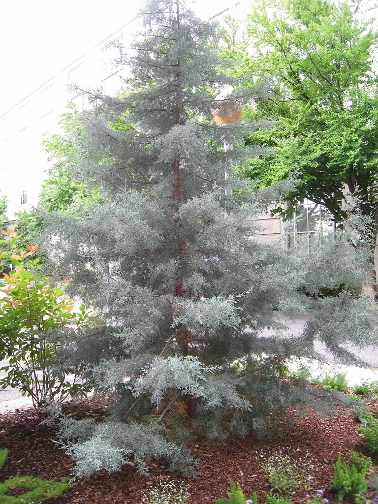 Wash DC 2009 3186.jpg - A 4th of July trip to Washington DC in 2009 to see the museums, memorials and fireworks.